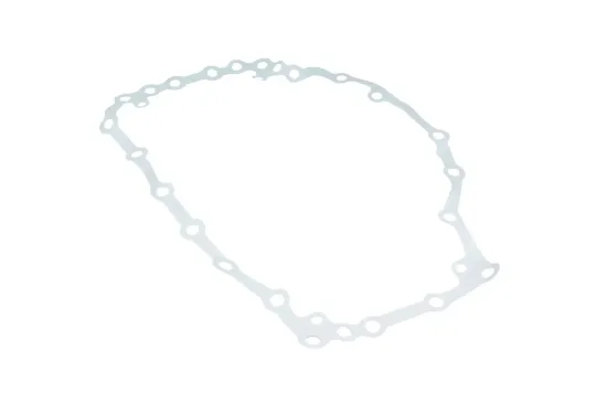 Slika Gearbox gasket F824100050090