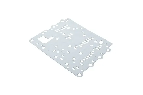 Slika Valve housing gasket F824100090790