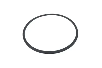 Slika Clutch shaft sealing ring F824100360630