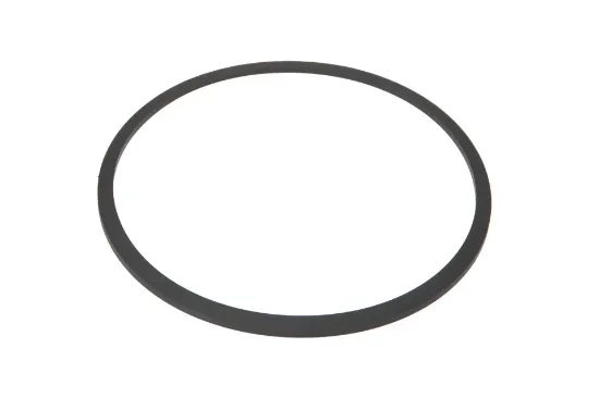 Slika Clutch piston seal F824100360630