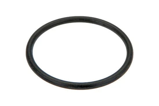 Slika O-ring 53 x 4 F842201190010