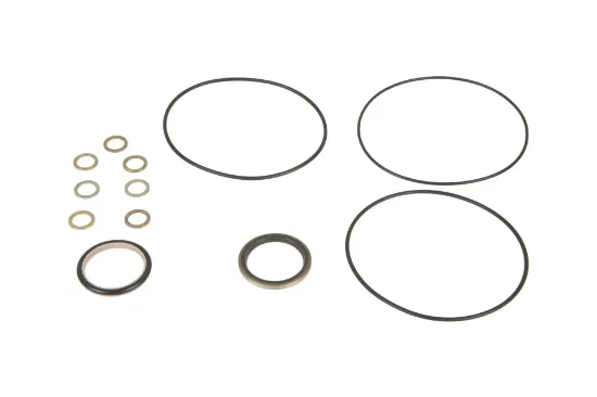 Slika AGCO F916400090010 sealing ring set