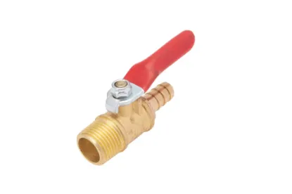 Slika Air tank water drain valve FT300.80.033