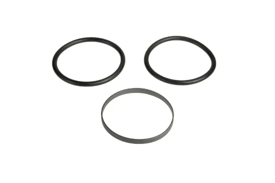 Slika Set of sealing rings G816300020820