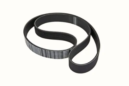 Slika 8PK multi-ribbed belt 1232 mm K0067061