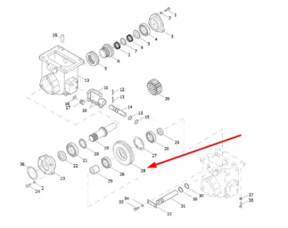 Slika Front axle gear L0001587