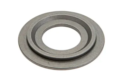 Slika Bearing washer P5M42201103