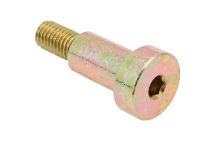 Slika Allen screw M10 P5S43104109