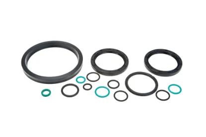 Slika Rear linkage seal kit P5S55102120