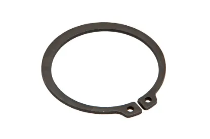 Slika External snap ring 55 x 2 P5S55102139