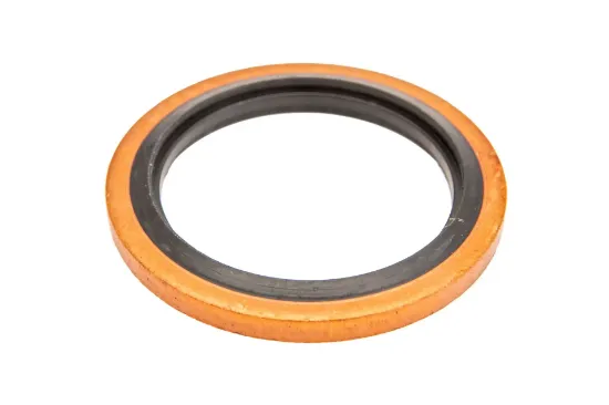 Slika Rubber metal sealing ring PIS05110007