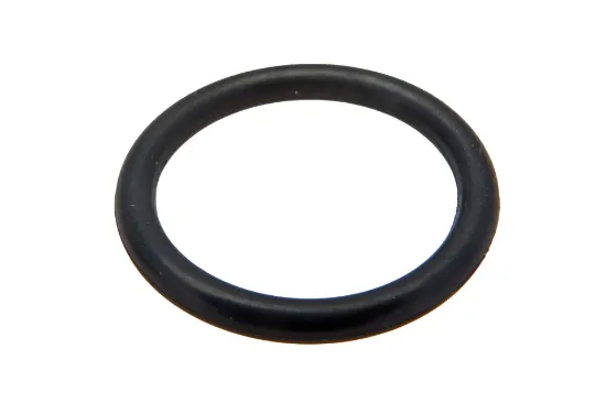 Slika O-ring PIS07010003