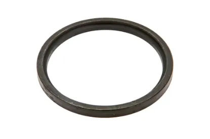 Slika Seal ring 60.5 x 71 x 5.5 TB1S411010030K