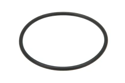 Slika O-ring TB3C551010024