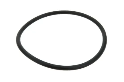 Slika O-ring TB3C551010056