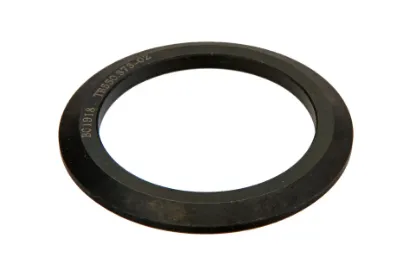 Slika Sealing ring TB550.373-02