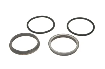 Slika Seal kit TC02311010032