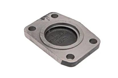 Slika TE250.361F-04 Shaft Cover