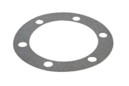 Slika Differential flange housing gasket TL02311010018