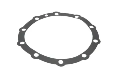 Slika Differential housing gasket TL02311010023