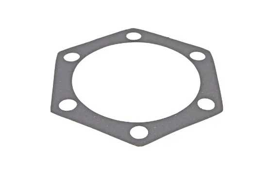 Slika Steering knuckle seal TL02311010039