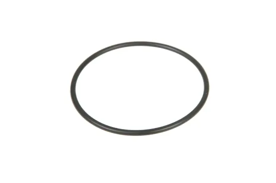 Slika Injection pump o-ring V614706326