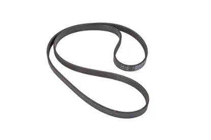 Slika AGCO V685061755 Multi-V Belt