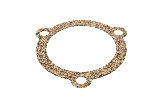 Slika Timing case cork gasket V836129946