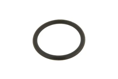 Slika O-ring of the rear three-point linkage cylinder VKH4961