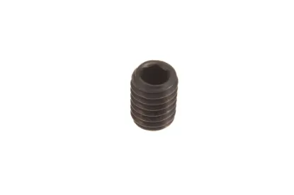 Slika Set screw M6 x 8 X412818200000