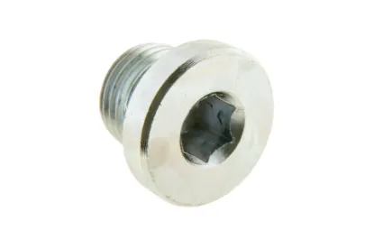 Slika Closing plug M10 x 1 mm X483800000000