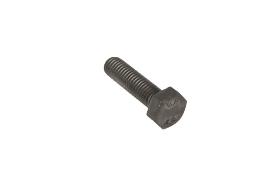 Slika Screw M8 x 30 X487528105000