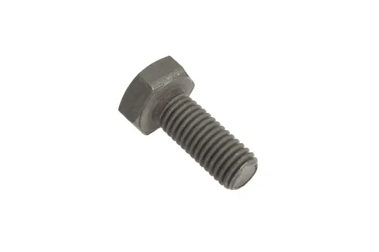 Slika Screw M10 x 25 X487531506000