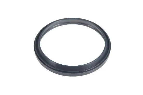 Slika Scraper ring 50 x 58 x 4/7 X540413600000