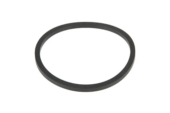 Slika Cylinder rubber ring 97,79 x 5,16 AGCO X540716100000