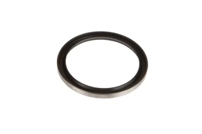 Slika Seal ring 45 x 55 x 4 AGCO X545721800000