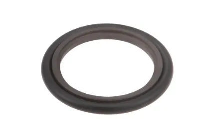 Slika Sealing ring 35 x 4,2 mm X547520500000