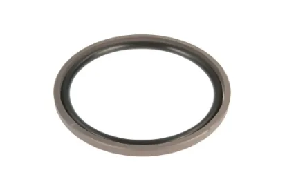 Slika Piston rod seal ring X547587200000