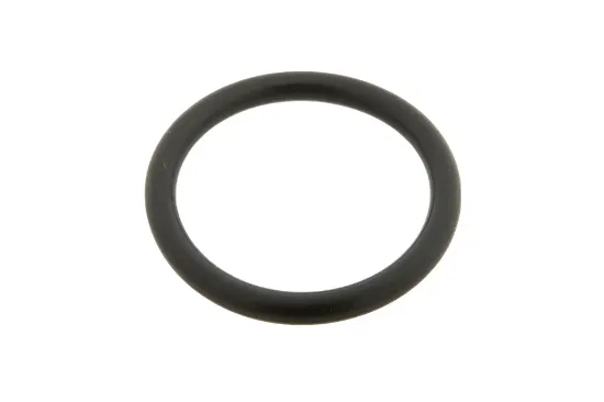 Slika Valve O-ring seal 20 x 2,5 mm X548860601000