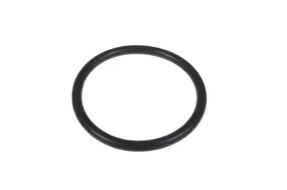 Slika Hydraulic pump seal ring 29,1 x 2,55 X548885102000