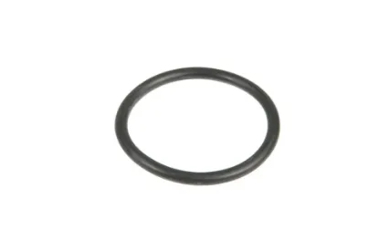 Slika O-ring 32,2 x 3 X548892266000