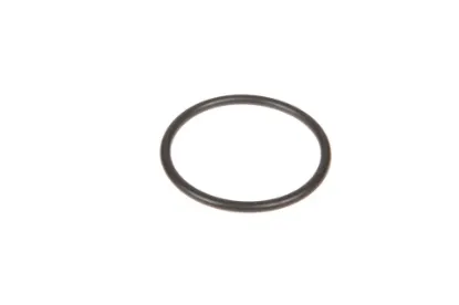 Slika Pinion seal ring X548896500000