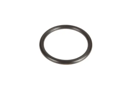 Slika O-ring 54,2 x 5,7 X548933866000