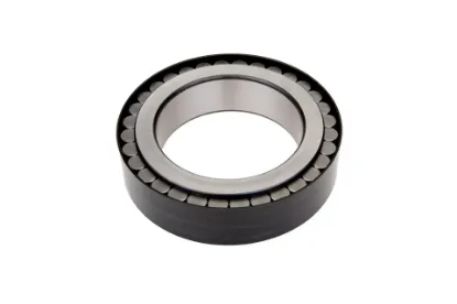 Slika Satellite wheel bearing X621431500005