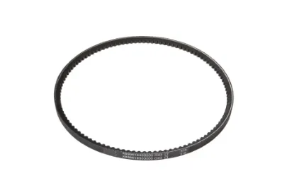 Slika V-belt AVX10 x 763 la X696616300000