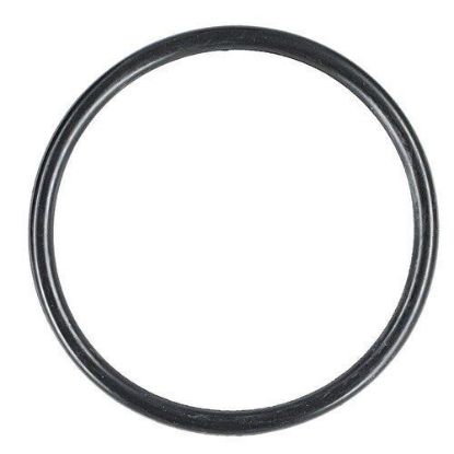 Slika O-Ring fits Case IH 63498C91 fits Massey Ferguson 275 290 390 3761473M1